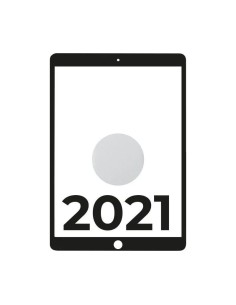Apple iPad 10.2 2021 9th WiFi Cell/ A13 Bionic/ 64GB/ Plata - MK493TY/A